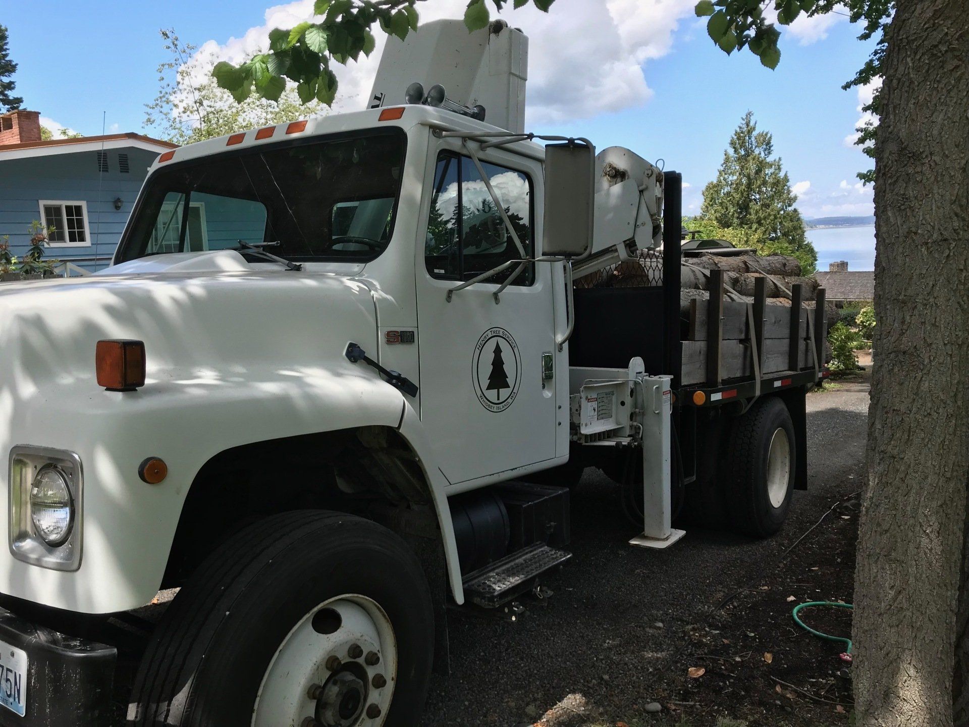 Chris Maragulia Henry Tree Service tree removal