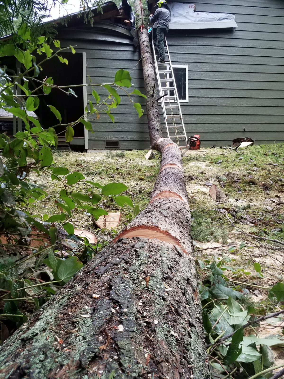 Henry Tree Service tree fell on house storm damage clean up