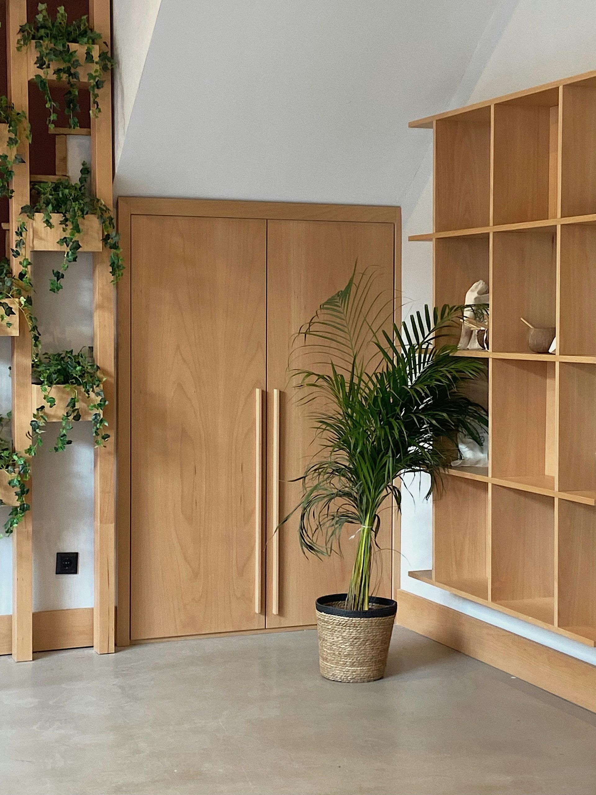 A room with wooden shelves and a potted plant