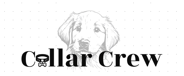 A white background with a few lines on it