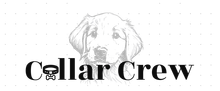 A white background with a few lines on it