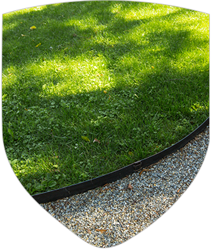 A lawn grass and gravel in it.