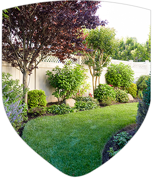 lush green yard with trees and bushes.