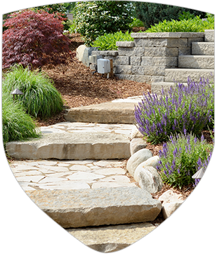 A stone walkway in a garden with purple flowers.