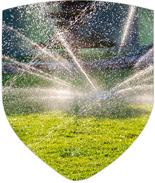 Sprinkler spraying water on a lush green field.