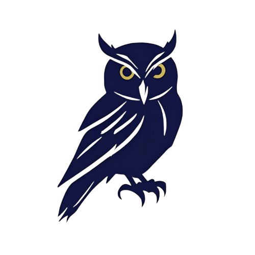 A black owl with gold eyes is sitting on a white background.