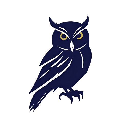 A black owl with yellow eyes is sitting on a white background.