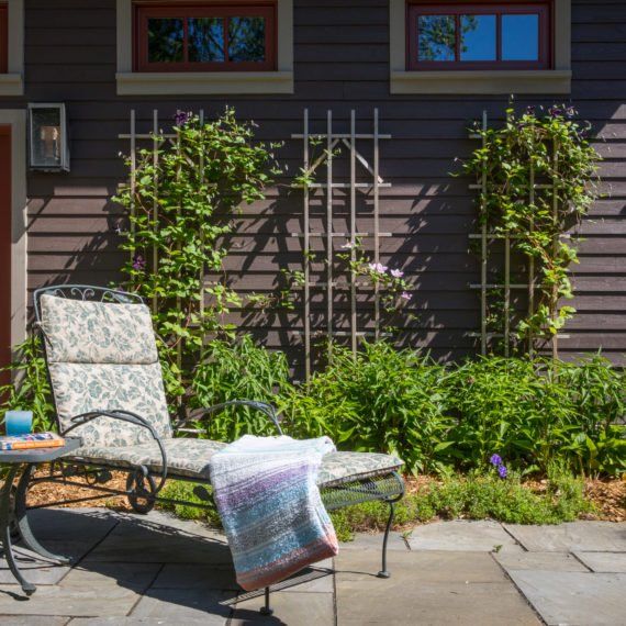 Garden Trellis, Trellis Design, Trellis Construction, Climbing Plants for Trellis, Outdoor Trellis, Trellis Privacy Screen