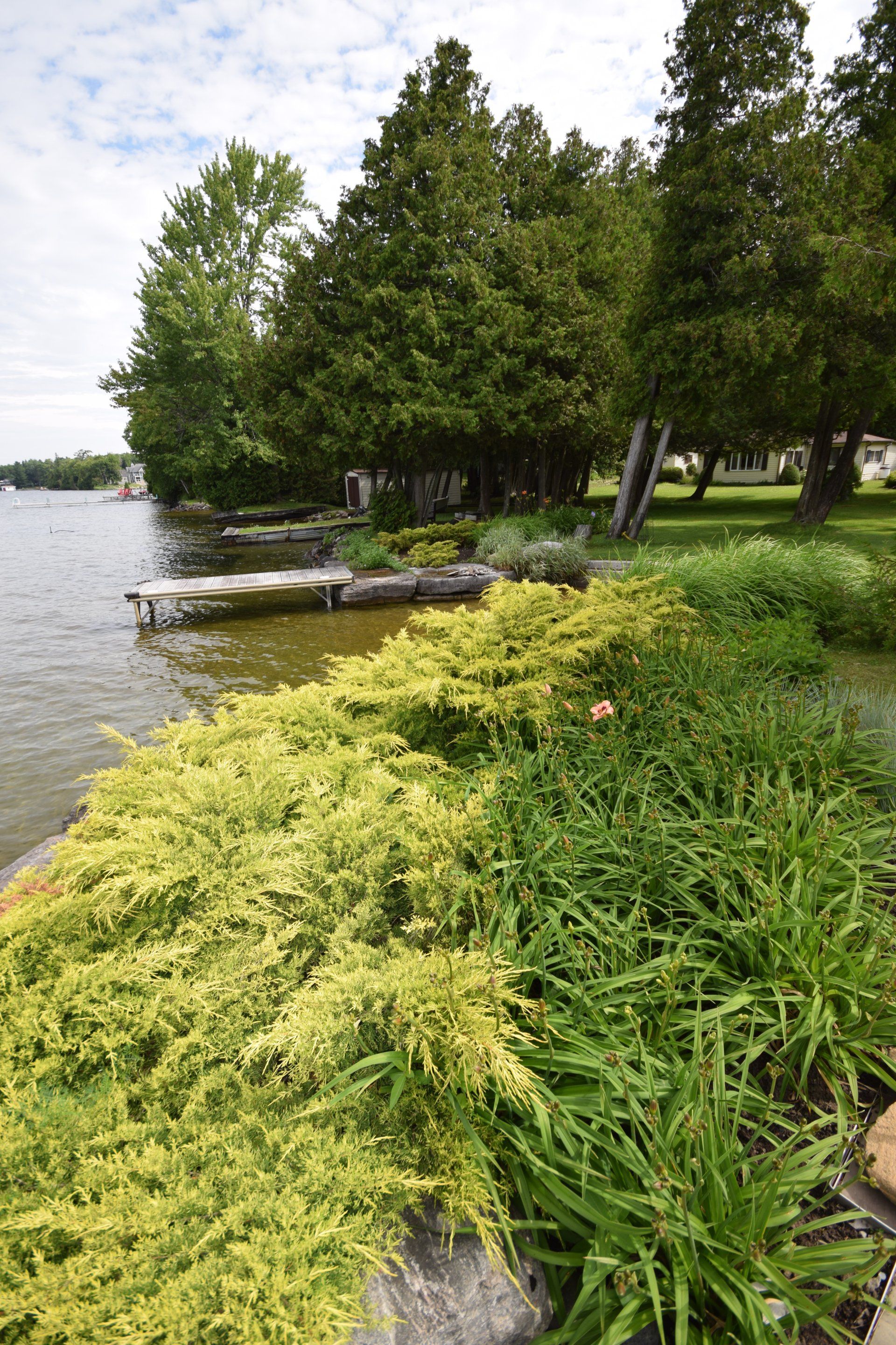Shoreline Restoration, Ecological Restoration, Waterfront Conservation, Habitat Restoration, Erosion Control, Native Plants, Riparian Zone, Sustainable Landscaping, Natural Shoreline, Environmental Conservation, Biodiversity, Ecosystem Health, Green Infrastructure, Conservation Projects, Shoreline Protection