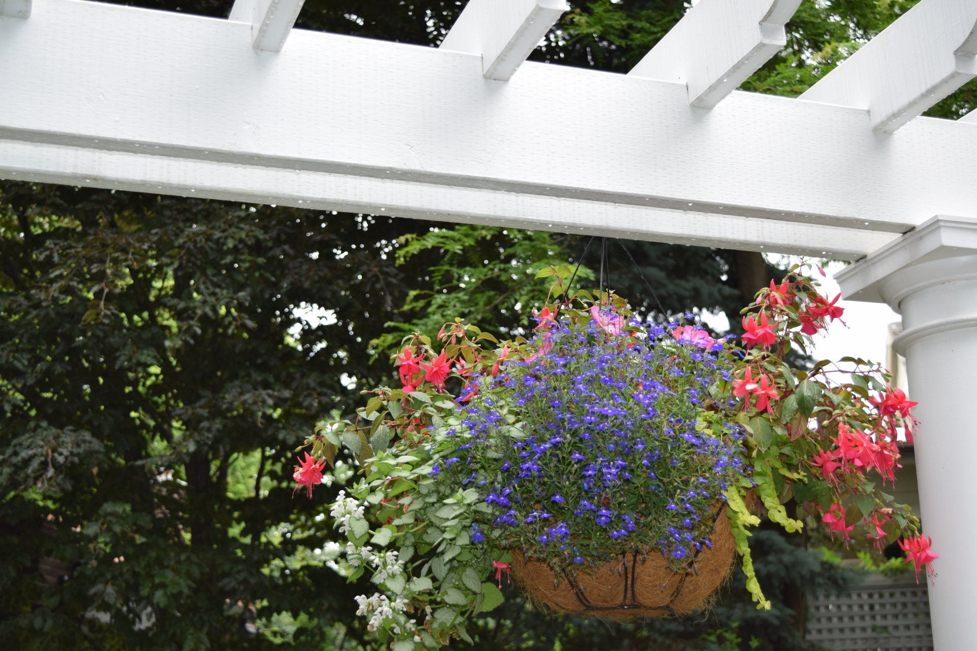 Arbor Construction, Garden Arbor, Wooden Arbor, Arbor Trellis, Outdoor Arbor, Arbor Installation, Custom Arbor, Pergola Arbor, Arbor Styles