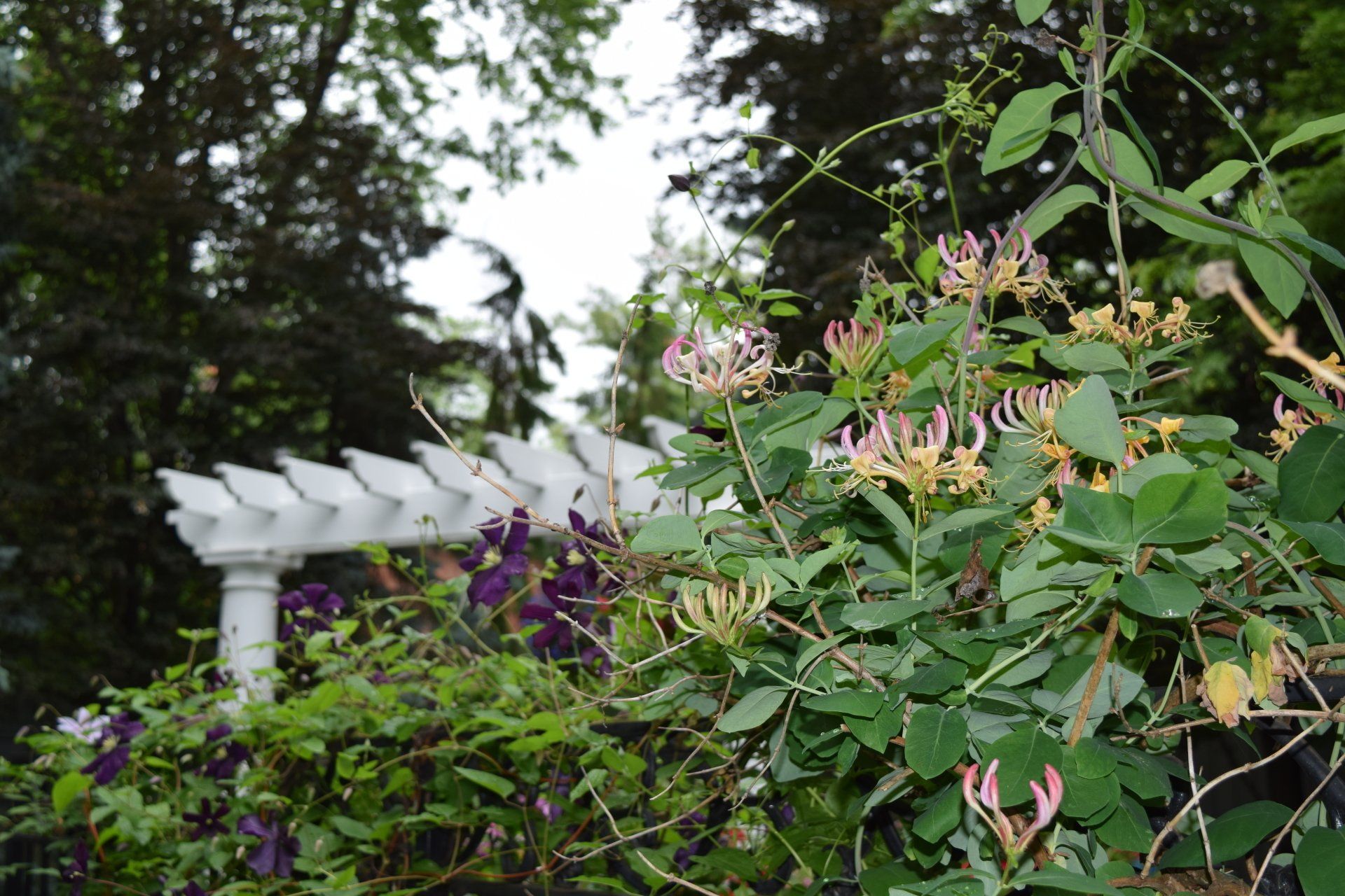 Arbor Construction, Garden Arbor, Wooden Arbor, Arbor Trellis, Outdoor Arbor, Arbor Installation, Custom Arbor, Pergola Arbor, Arbor Styles