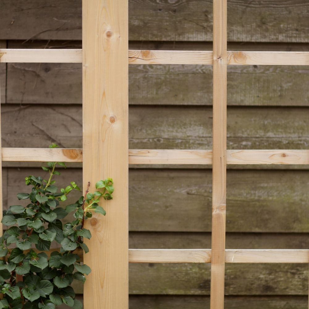 Garden Trellis, Trellis Design, Trellis Construction, Climbing Plants for Trellis, Outdoor Trellis, Trellis Privacy Screen