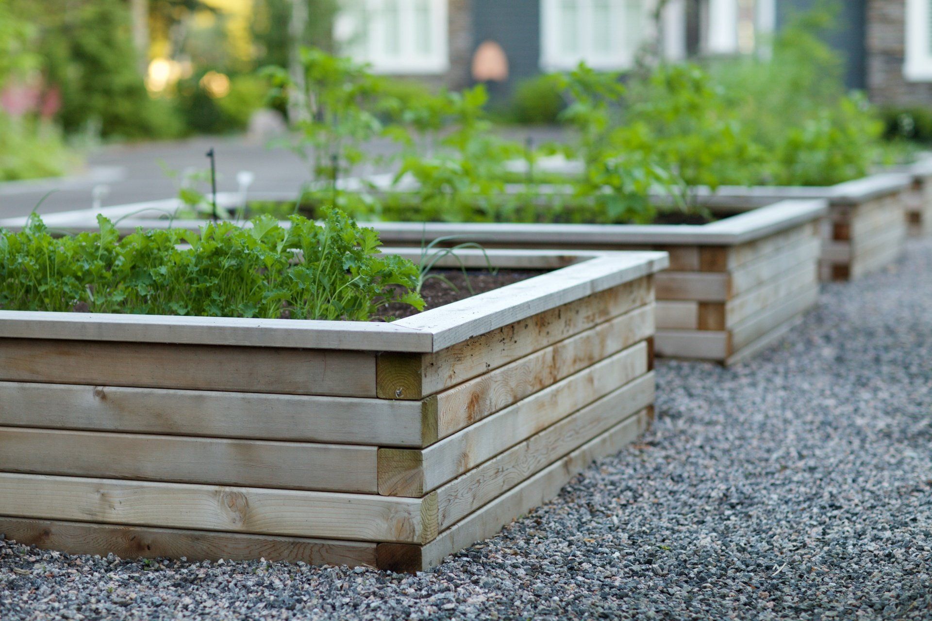 Raised Garden Bed, Vegetable Gardening, Elevated Planters, Raised Bed Gardening, Urban Gardening, Raised Vegetable Beds, Garden Design, Container Gardening, Organic Gardening, Small Space Gardening, Raised Planter Ideas, Raised Garden Design, Vegetable Planter Boxes, Gardening Tips, Vegetable Planter Designs, Home Gardening, Sustainable Gardening