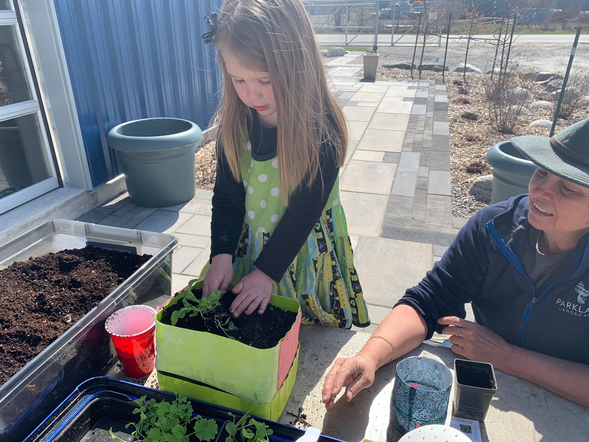 Pollinator Garden, Butterfly Garden, Bees and Pollinators, Eco-friendly Garden, Sustainable Garden, Environmental Education, Biodiversity