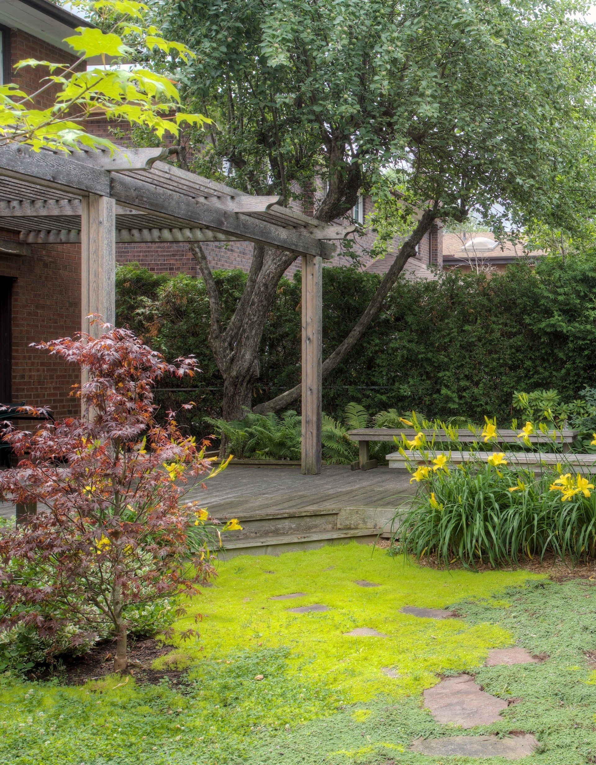 Pergola, Pergola Design, Pergola Construction, Garden Pergola, Patio Pergola, Pergola Lighting, Climbing Plants for Pergola