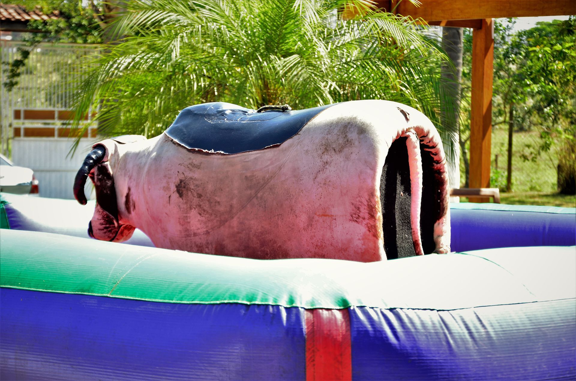A mechanical bull is laying on top of an inflatable pool.