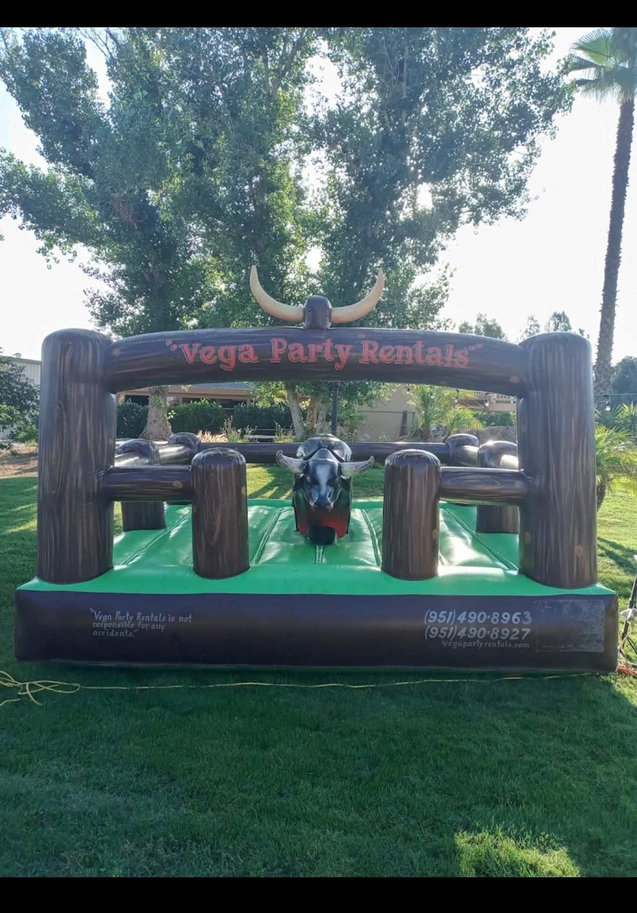 A young boy is riding on the back of a bull.