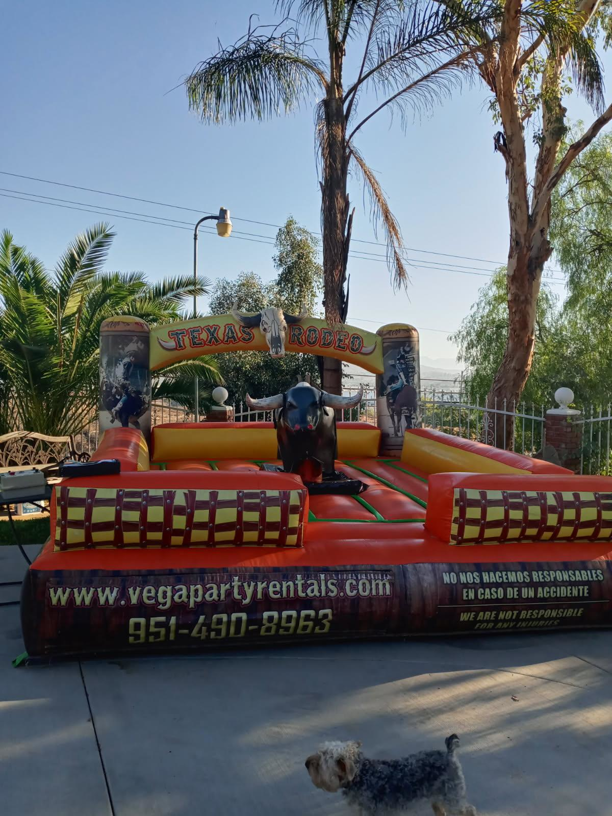 A small dog is standing next to an inflatable rodeo game.
