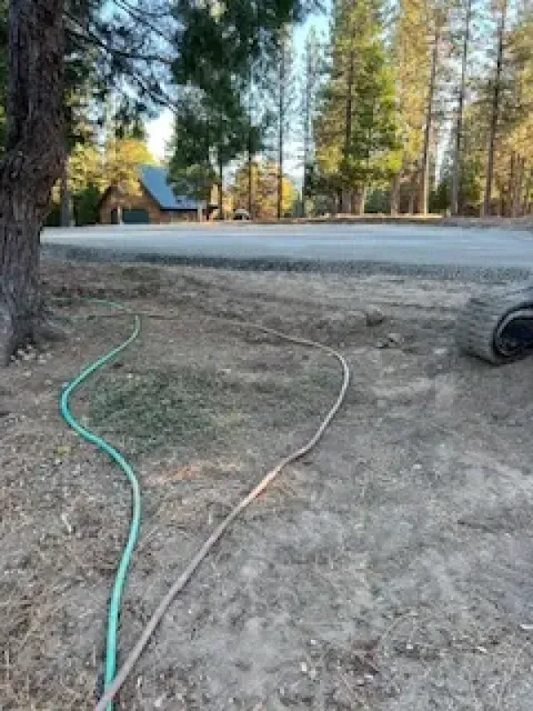 A green hose is laying on the ground next to a road.