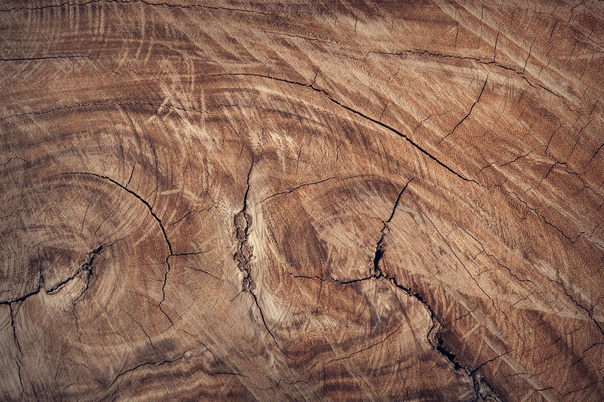 A close up of a piece of wood showing the texture of the wood.