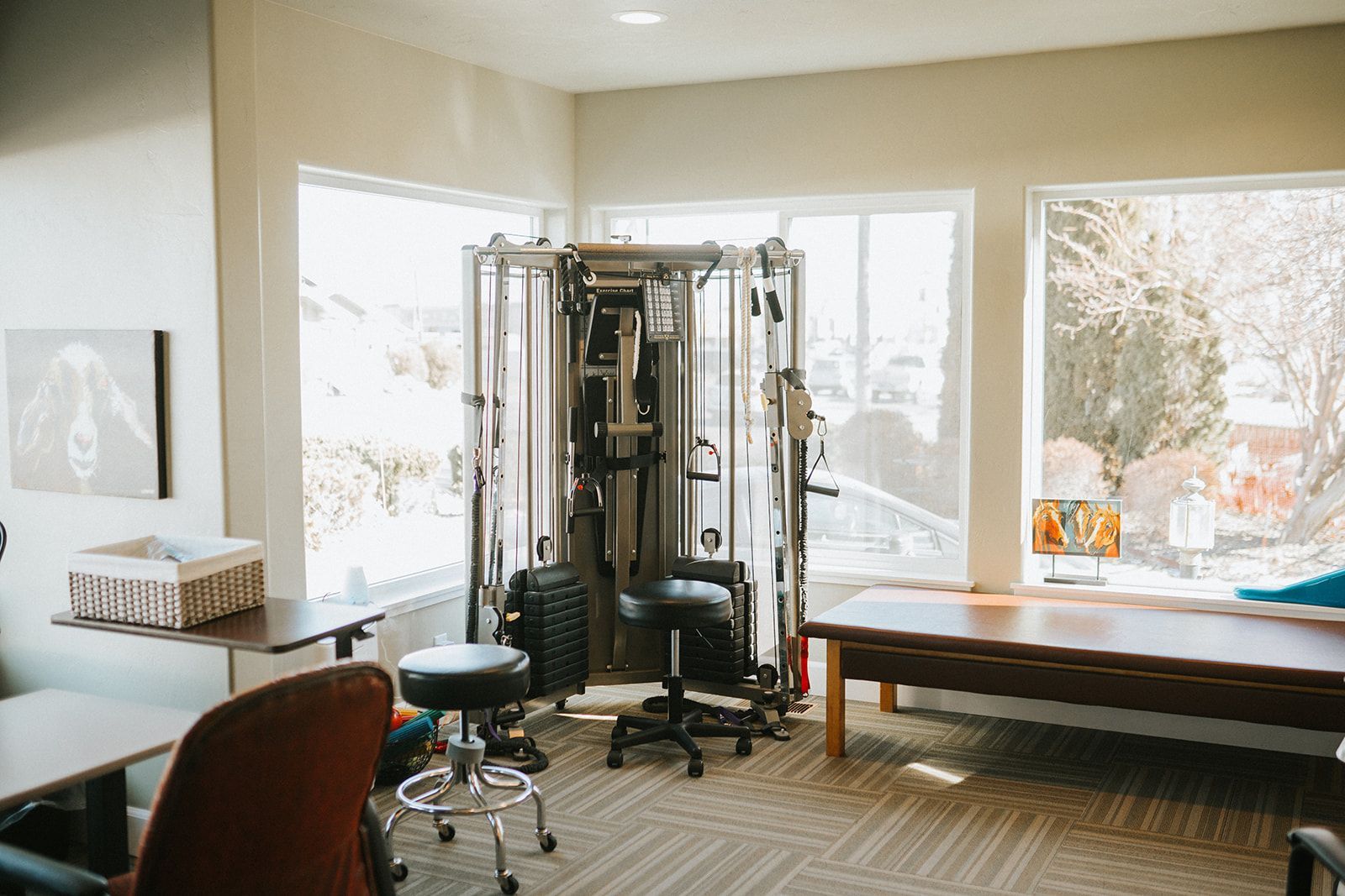 A room with a lot of windows and a exercise machine in it.