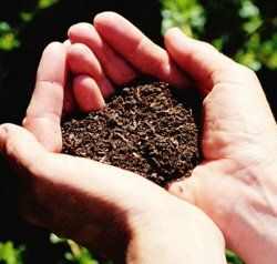 topsoil