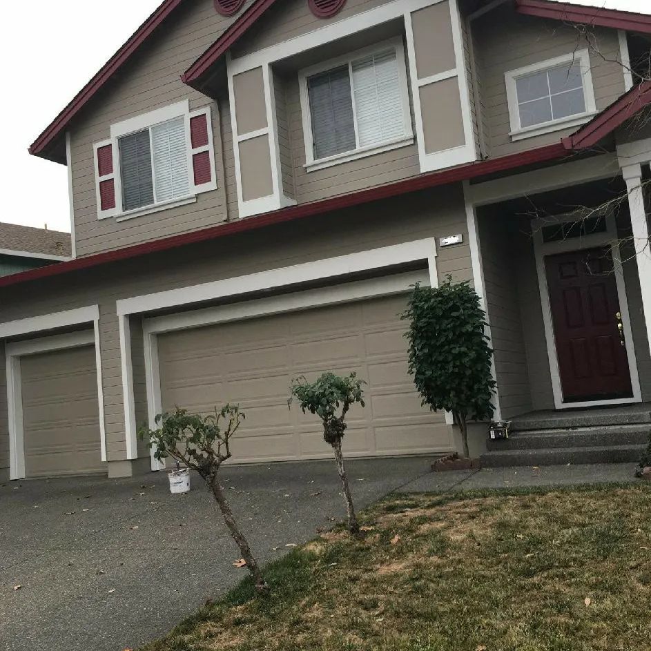 Sonoma County CA, Santa Rosa CA, Proctor Terrace Santa Rosa CA, Skyhawk Community Santa Rosa CA, Jr College Neighborhood Association Santa Rosa CA, Roseland CA, Bodega Bay CA, Graton CA, Rohnert Park CA, Petaluma CA, Novato CA, Santa Venetia CA, San Rafael CA, Mill Valley CA, Ukiah CA, Cloverdale CA, Napa County CA, Sonoma CA, Napa CA, St Helena CA, Painting Contractor, Painter Near Me, Painting Company, Painting Company Near Me, Interior Painting, Exterior Painting, Wood Fence Painting, Wood Fence Staining, Deck Staining, Cabinet Painting, Cabinet Staining, Commercial Painting, Commercial Painting Contractor,Commercial Painting Company, Commercial Painter Near Me, Commercial Interior Painting, Commercial Exterior Painting, Office Interior Painting, Office Exterior Painting, Hotel Interior Painting, Hotel Exterior Painting, Restaurant Interior Painting, Restaurant Exterior Painting, Pressure Washing, Pressure Washer Near Me, Pressure Wash House, Exterior House Wash, Pressure Wash Driveway, Driveway Cleaning, Pressure Wash Gutter, Gutter Cleaning, Pressure Wash Patio, Patio Cleaning, Pressure Wash Walkways, Pressure Wash Sidewalks, Pressure Wash Stairs, Roof Wash, Roof Cleaning, Pressure Wash Roof