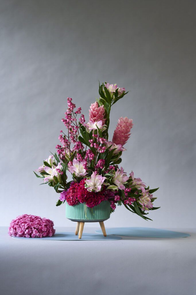 Astronova Alstroemeria beschikbaar bij Bloemengroothandel Van der Vijver