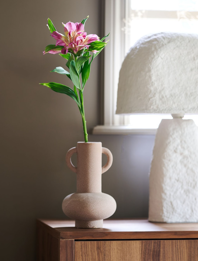 Astronova Alstroemeria beschikbaar bij Bloemengroothandel Van der Vijver