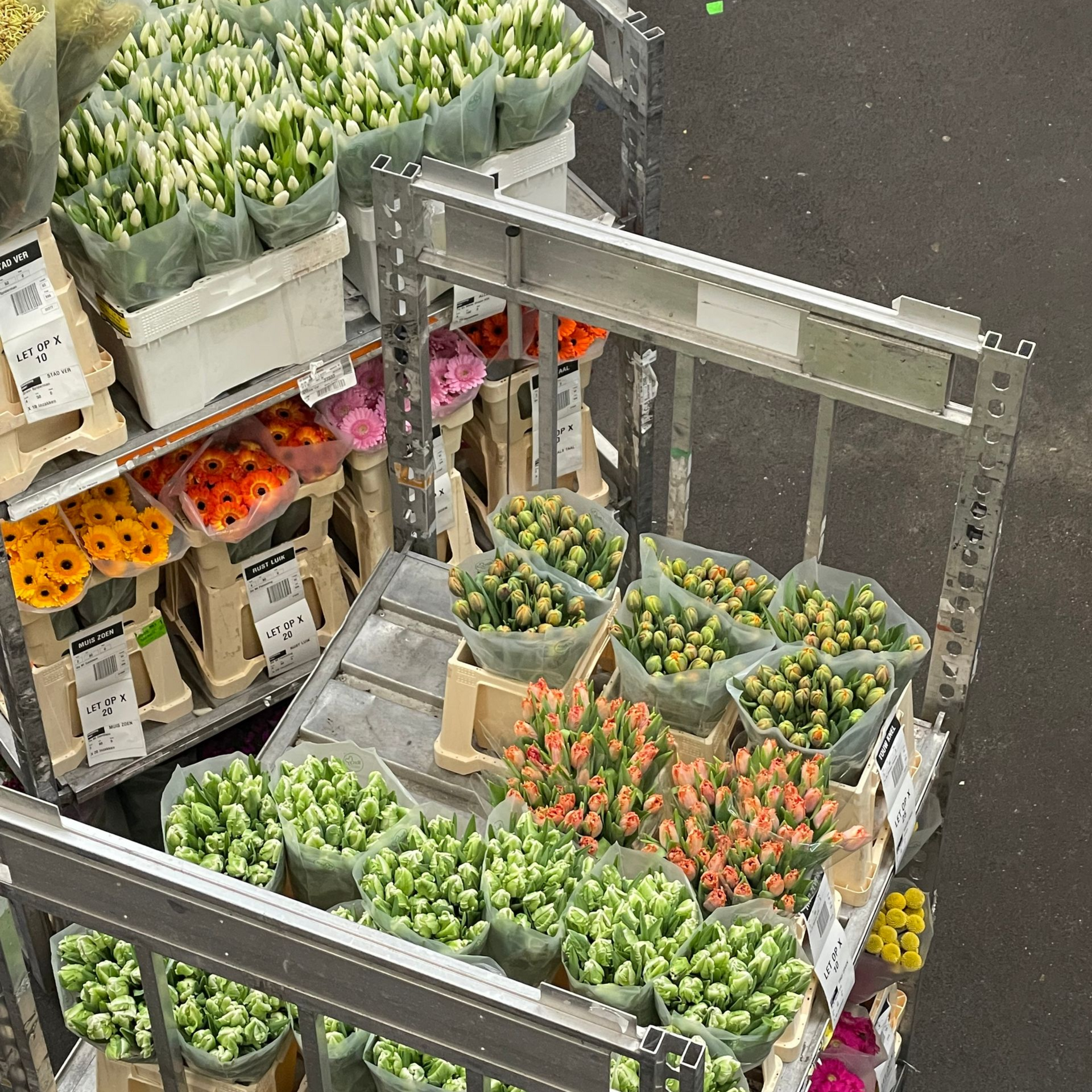 Bloemengroothandel van der Vijver