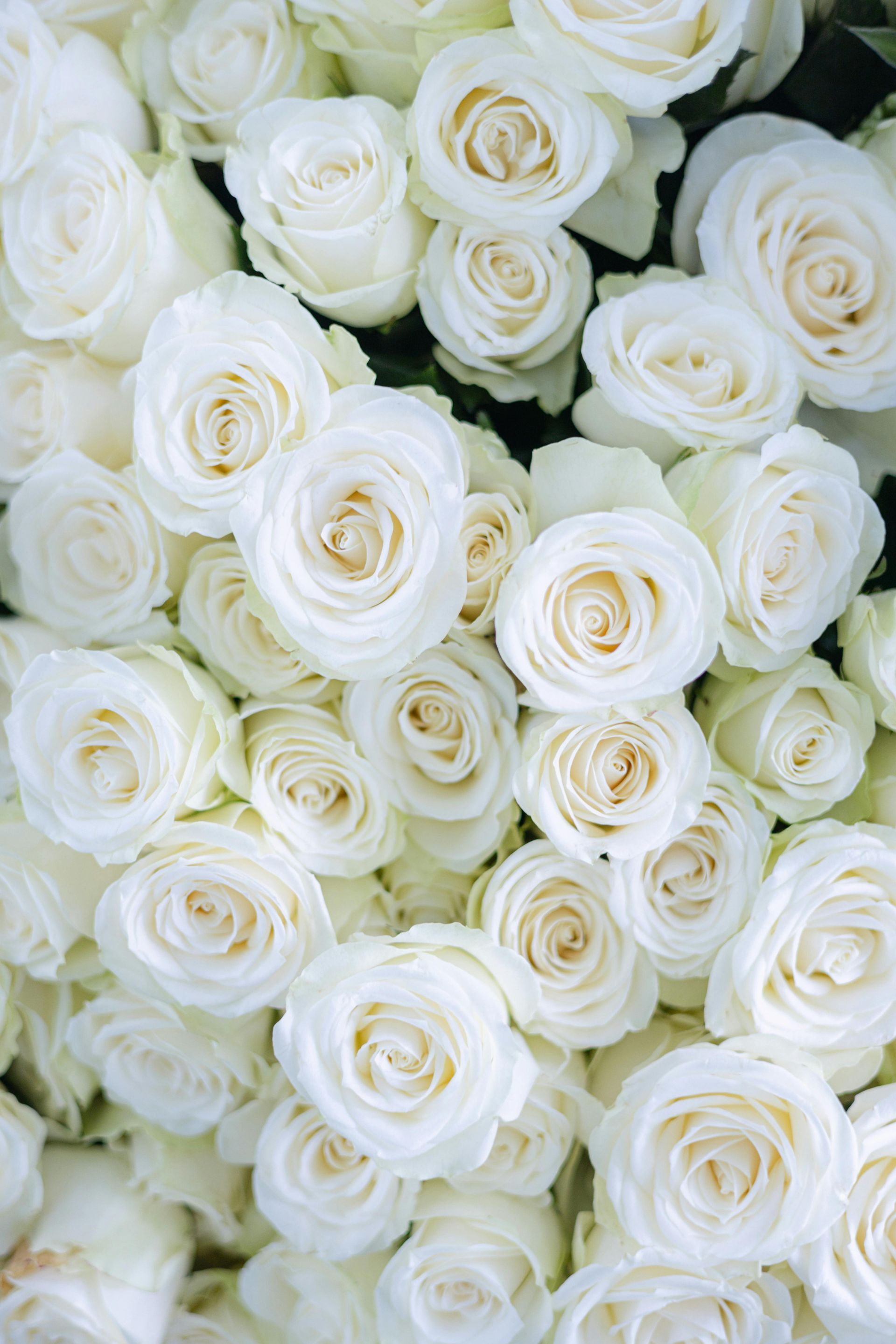 Bloemen beschikbaarheid bij Van der Vijver