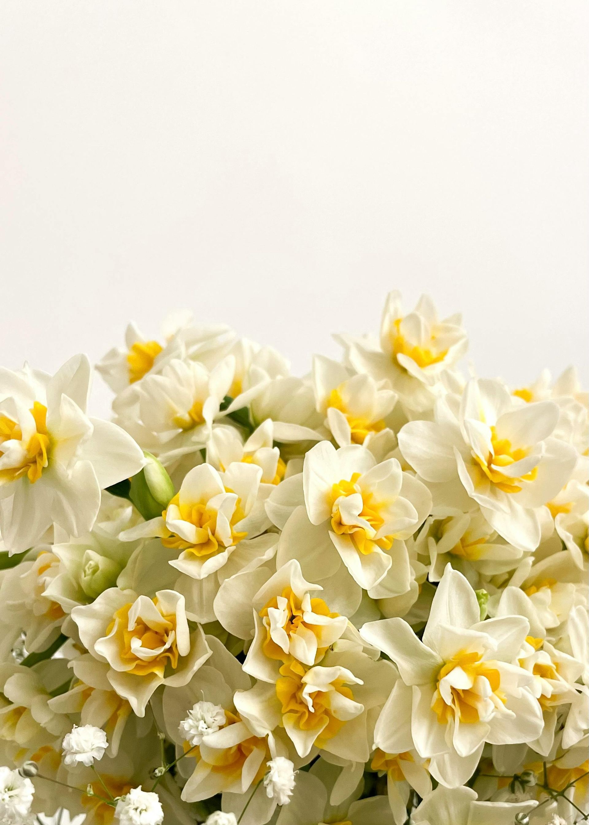 Bloemen beschikbaarheid bij Van der Vijver