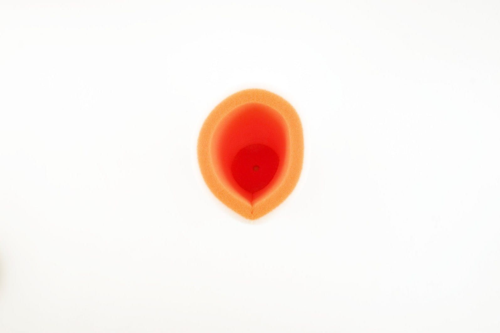 Luchtfilter Raptor 350 04-11