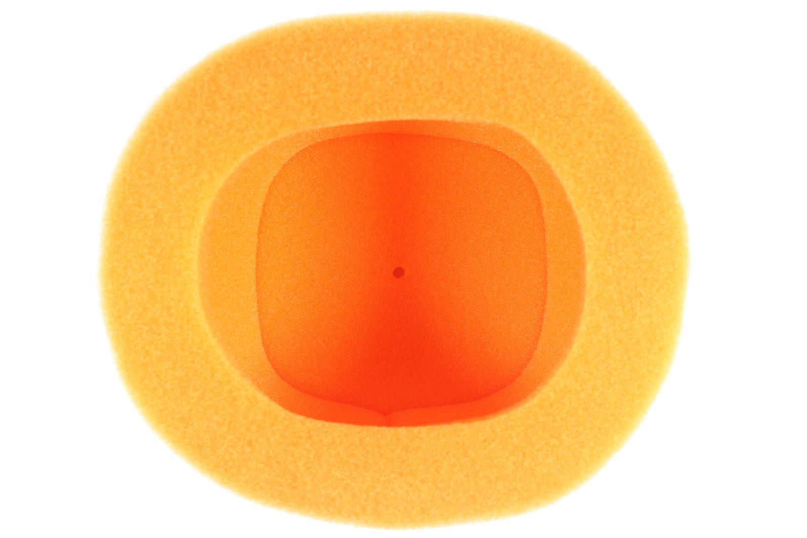 Luchfilter Raptor 250 08-12