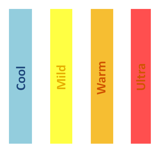 Type of Quilt
