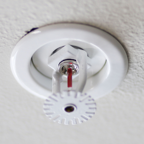 White fire sprinkler installed in a white ceiling.