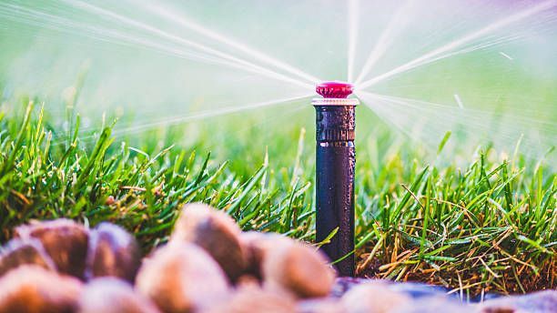 White fire sprinkler installed in a white ceiling.