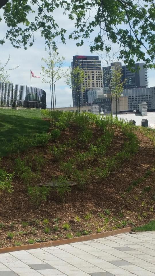 Un horizon de ville est visible derrière une colline verdoyante.