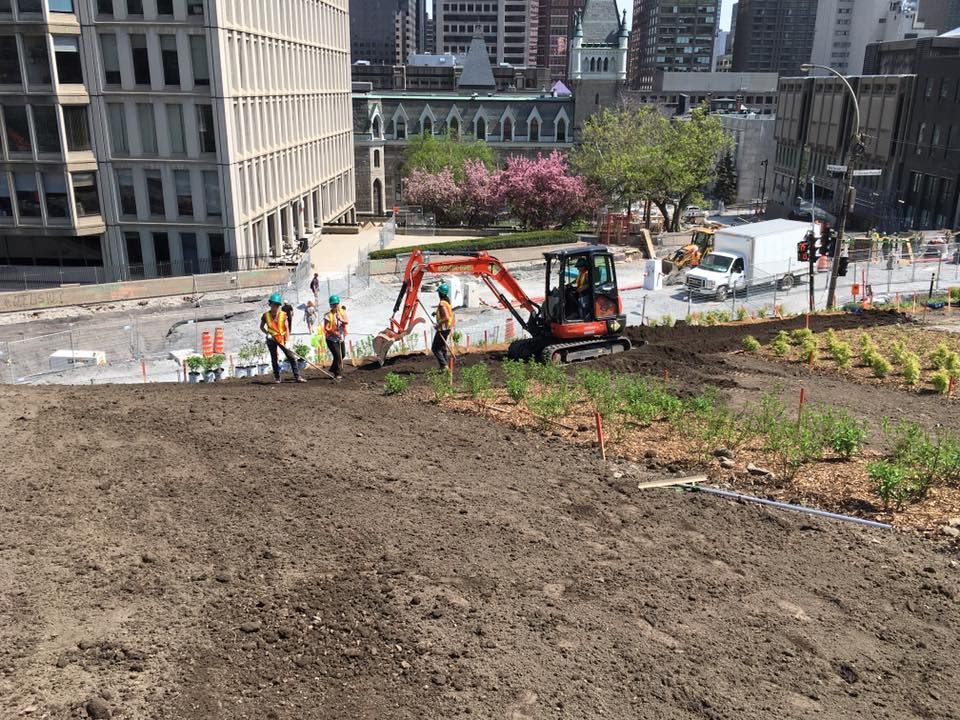 Un groupe d'ouvriers du bâtiment travaillent sur un champ de terre.
