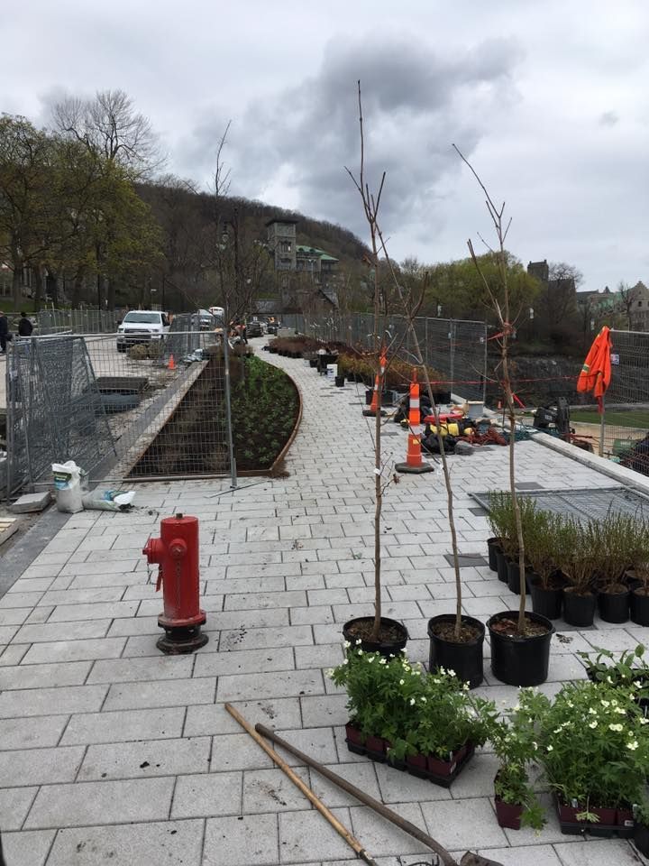 Une bouche d'incendie se trouve sur le trottoir à côté d'une rangée de plantes en pot.