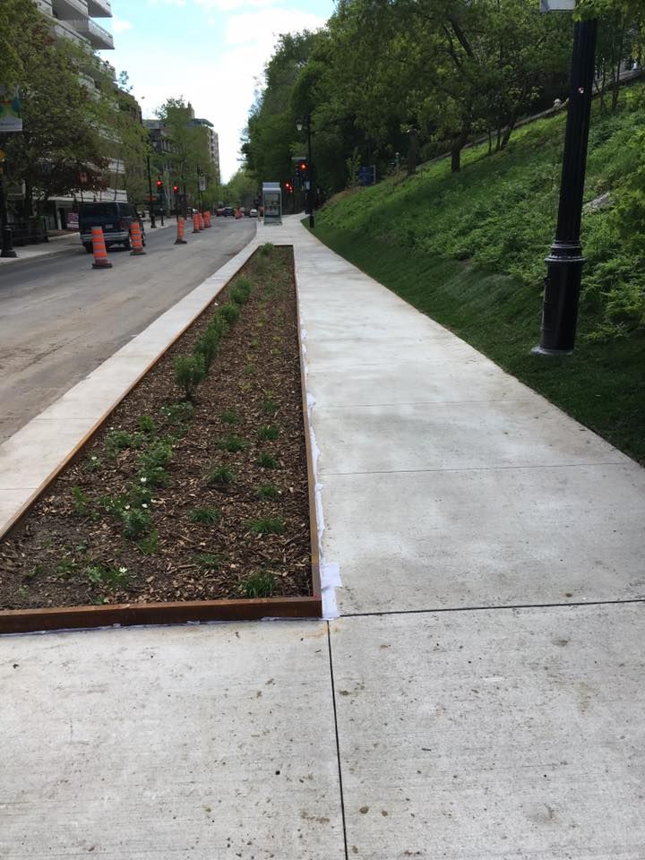 Un trottoir avec une jardinière au milieu