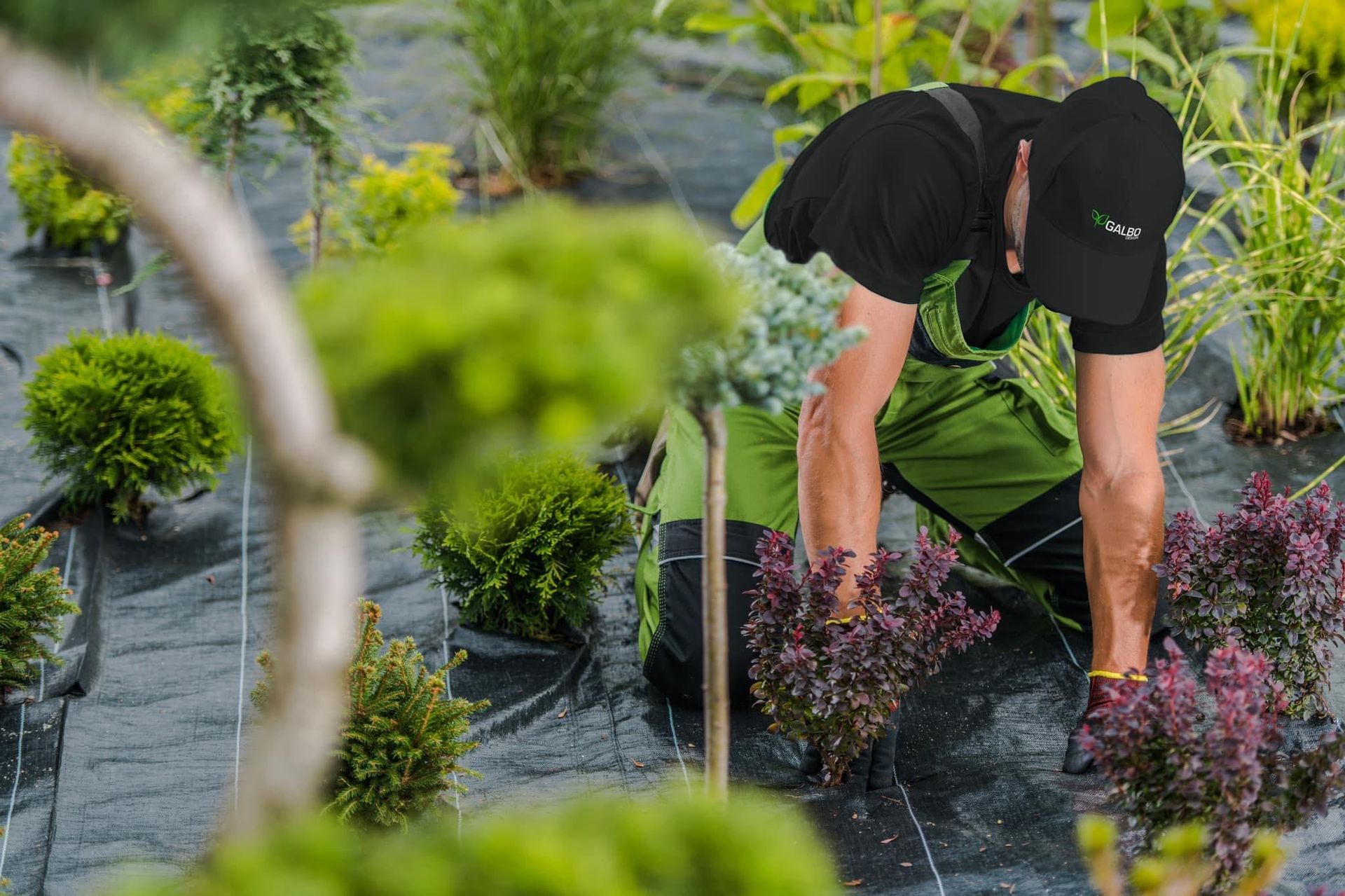 Un homme se penche pour cueillir des fleurs dans un jardin.