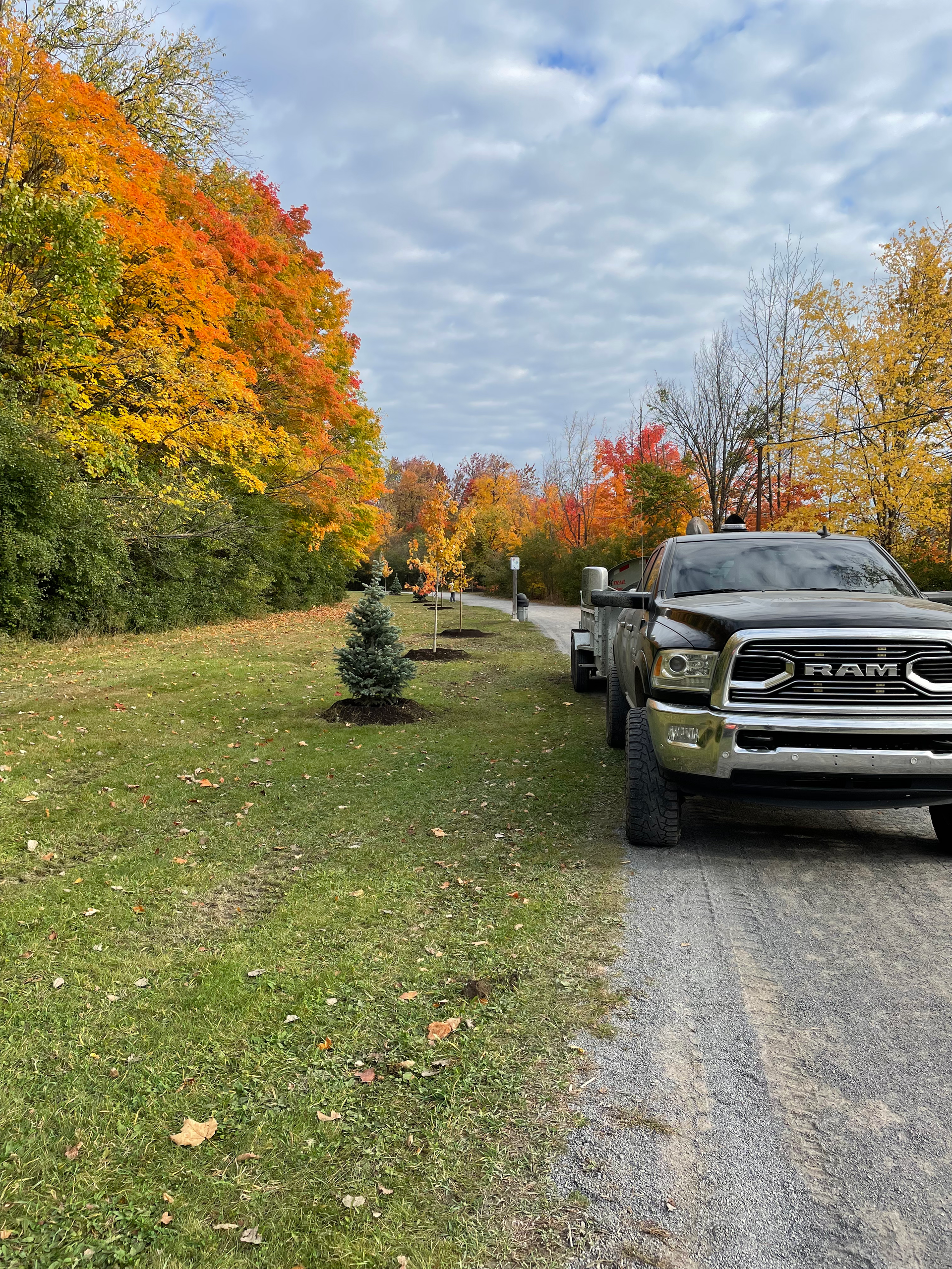 Un camion est garé au bord d'un chemin de terre.