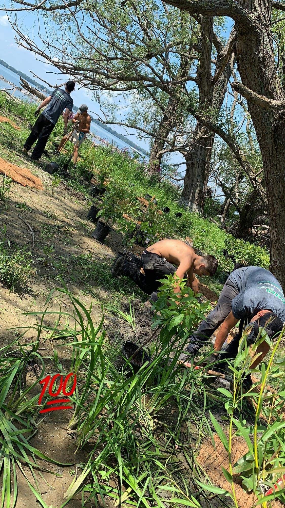 Un groupe de personnes plante des arbres à flanc de colline.