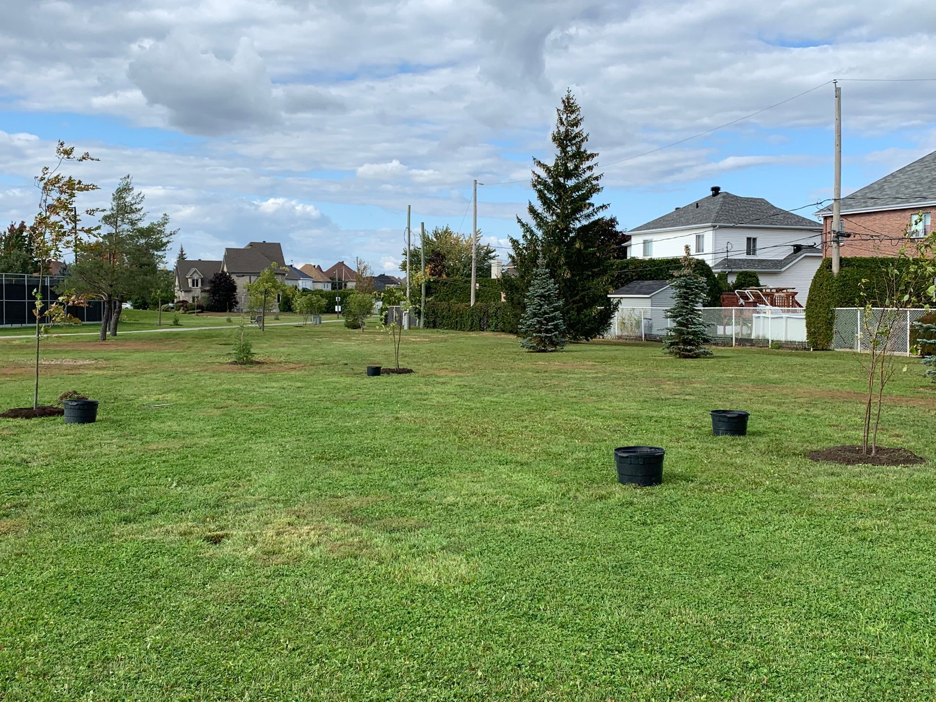 Un champ verdoyant avec des arbres et des maisons en arrière-plan.