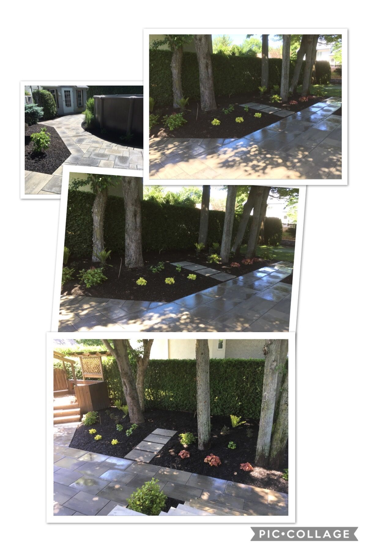 Un collage de photos d'un jardin avec des arbres et des fleurs.