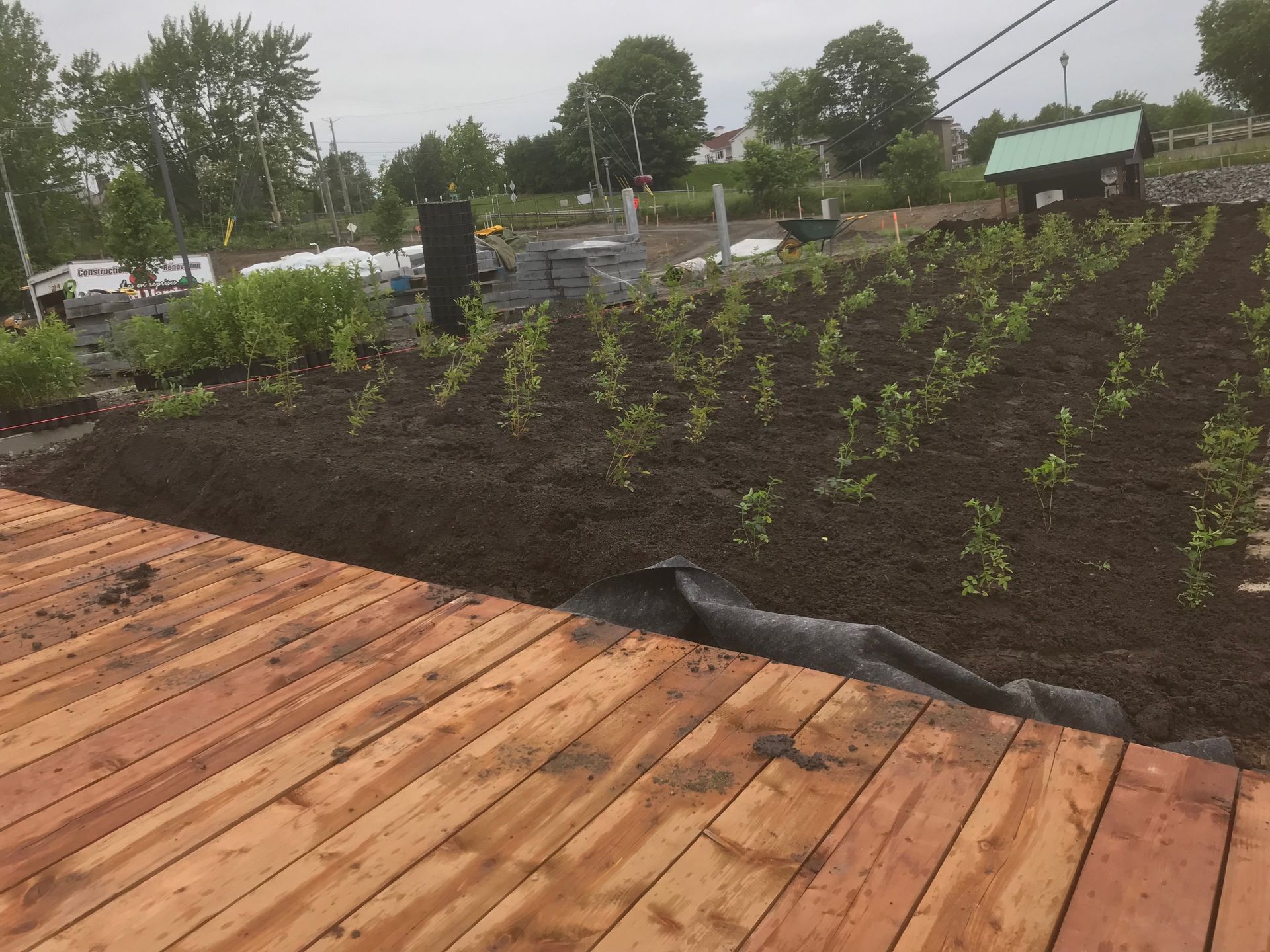Une terrasse en bois avec beaucoup de plantes dessus
