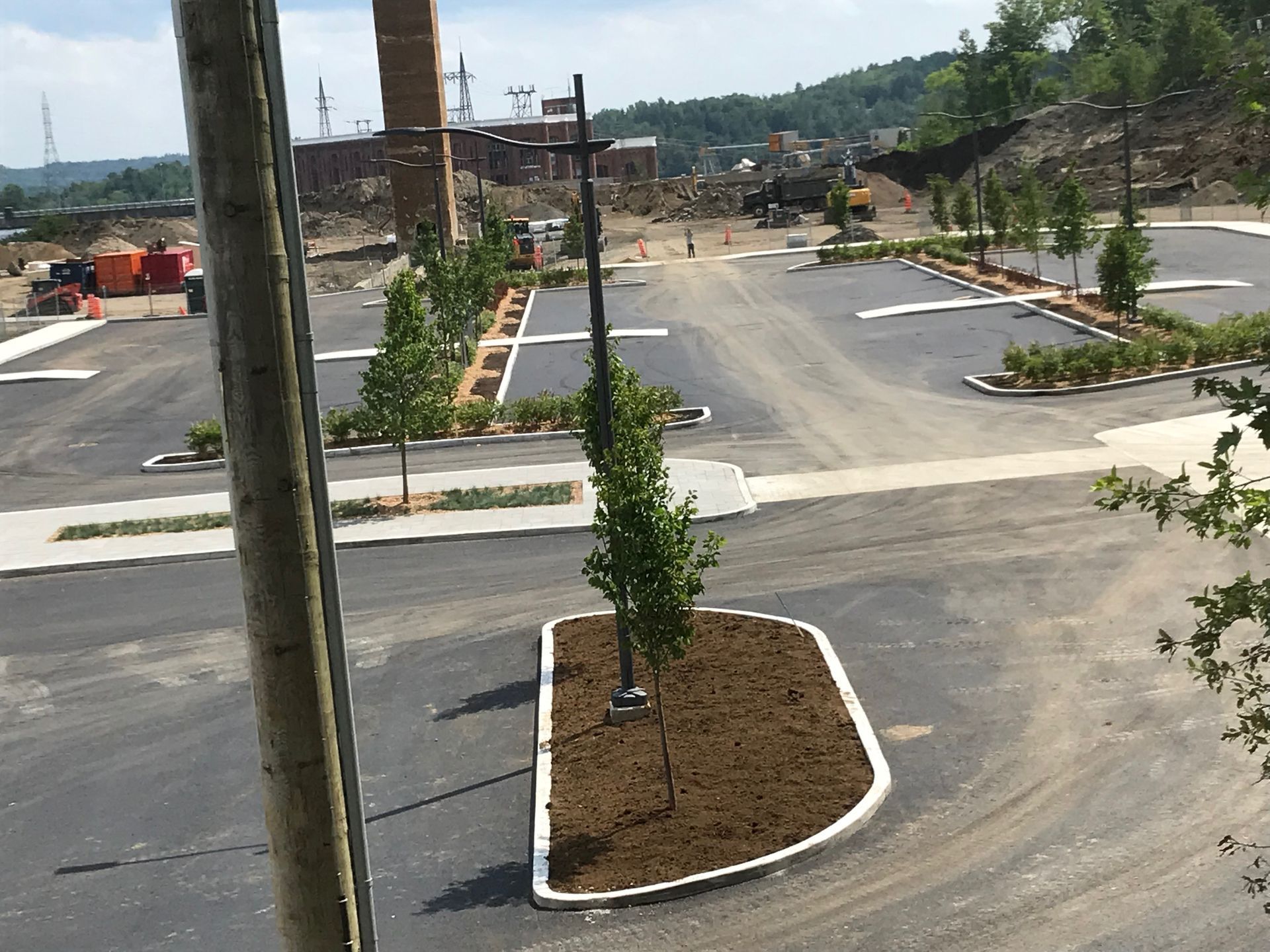 Un parking avec un arbre au milieu