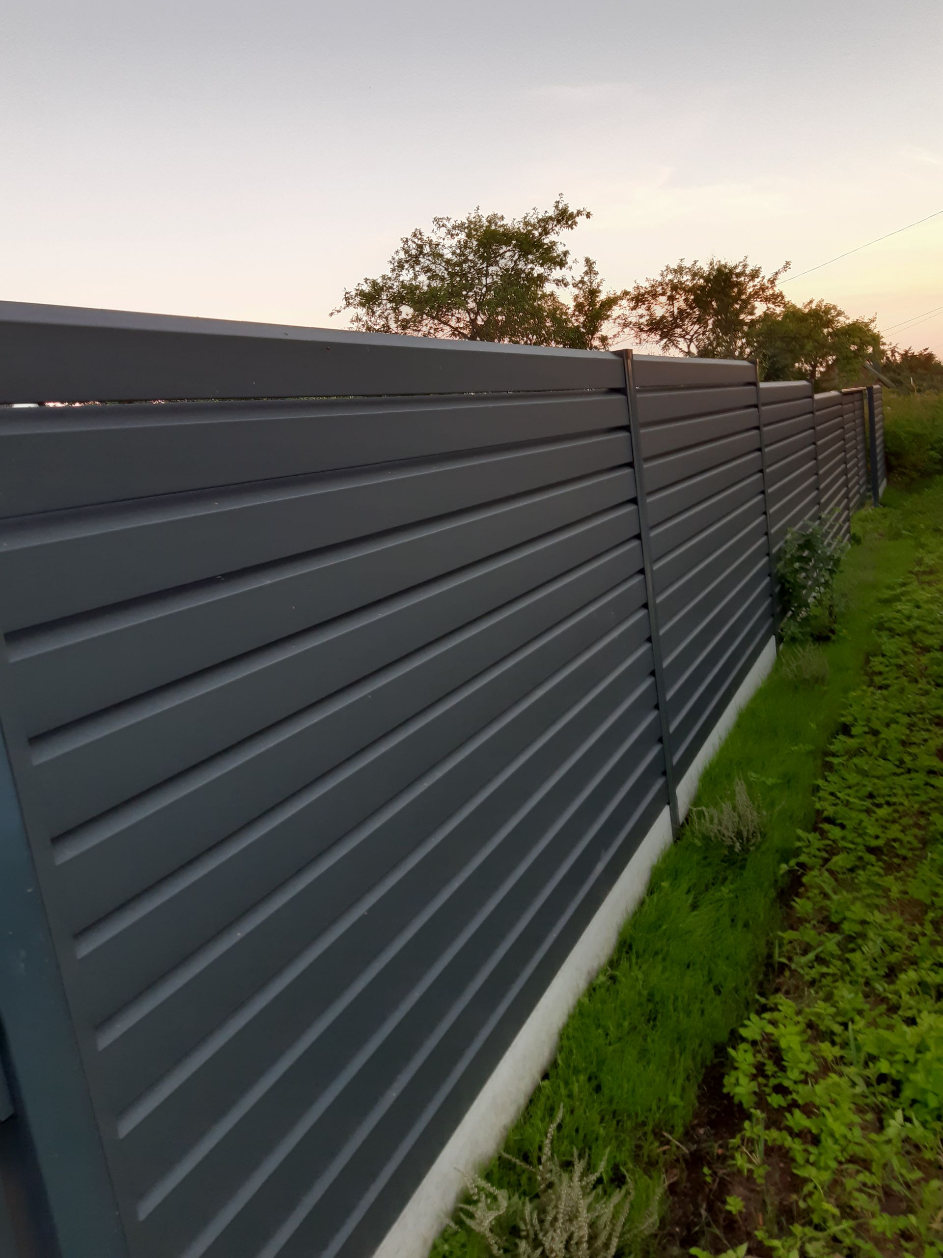 Juoda tvora aptverta žalia veja ir medžiais.