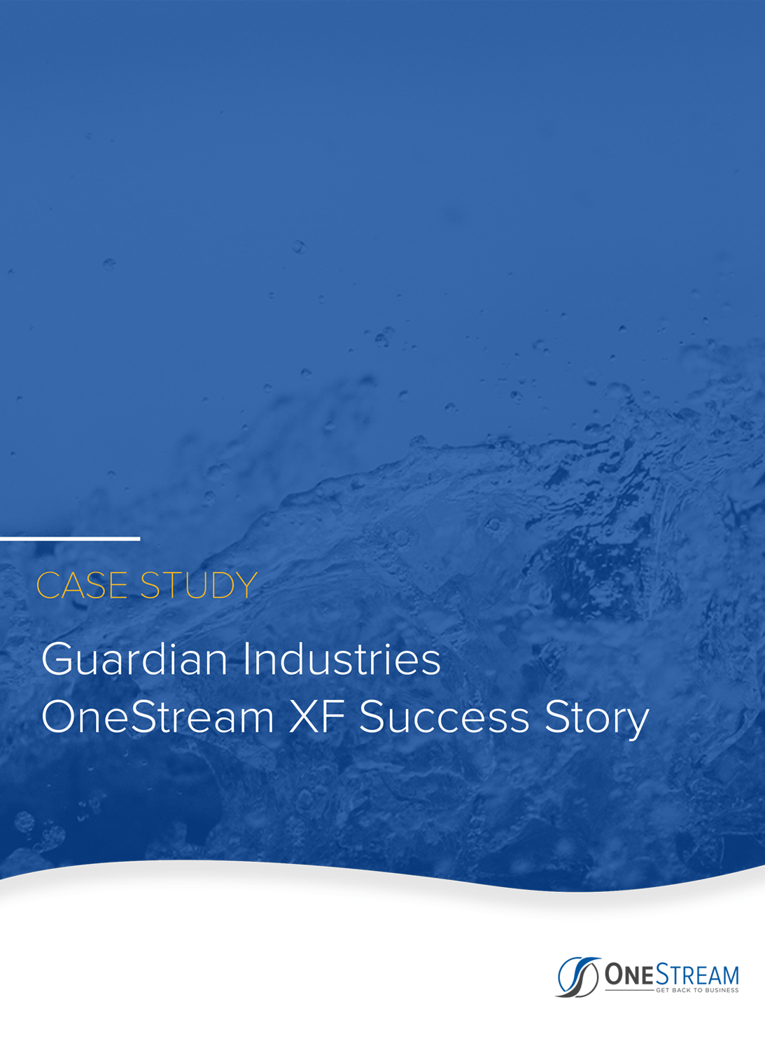 guardian industries case study